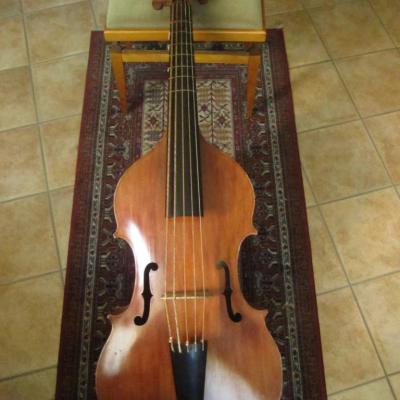 photos violone en ré