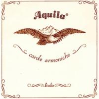 Aquila gut strings