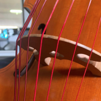 Aquila synthetic strings f red