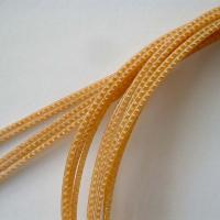 Aquila gut string venice