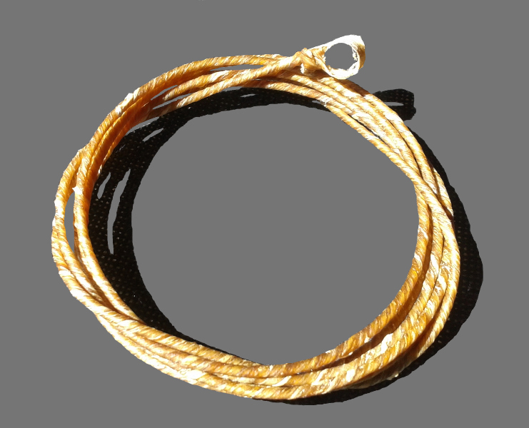 Corde boyau 1
